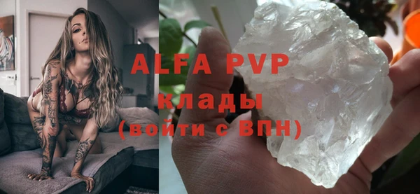 дурь Бородино