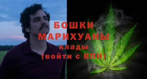 ПСИЛОЦИБИНОВЫЕ ГРИБЫ Бугульма