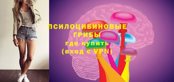 дурь Бородино