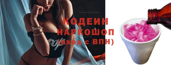 дурь Бородино