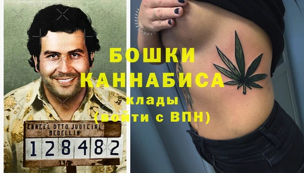 дурь Бородино