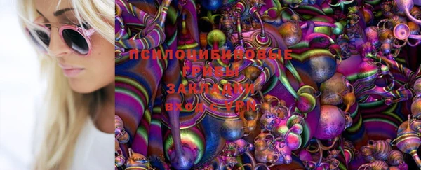 дурь Бородино