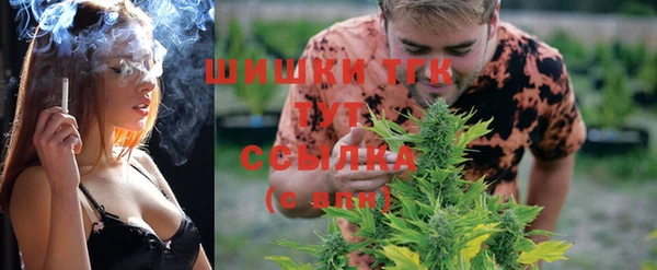 амф Богданович
