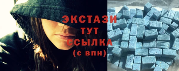 дурь Бородино