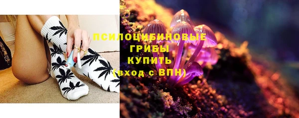 дурь Бородино