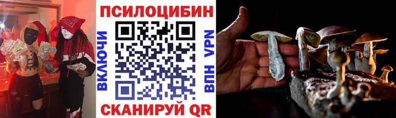 Псилоцибиновые грибы Cubensis  МЕГА ссылка  Межгорье 